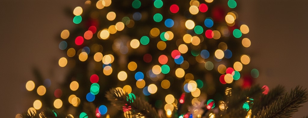 bokeh christmas lights Boise